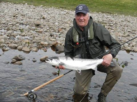 Ally's Shrimp Treble Hook Salmon Fly