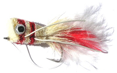 Red and White Bass Bug Popper fishing fly pattern for smallmouth and largemouth bass and pike