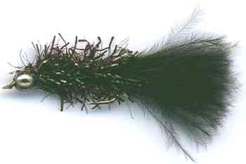The Black Crystal Woolly Bugger Fly