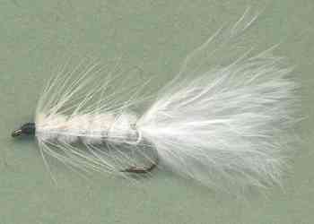 The White Woolly Bugger Fly
