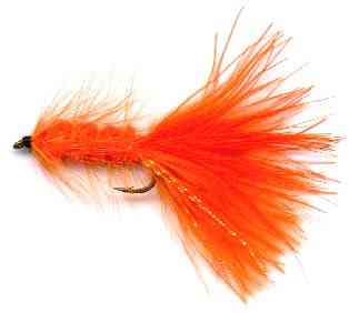The Orange Woolly Bugger Fly