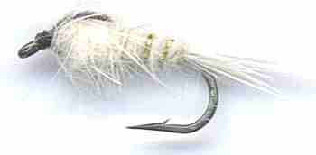 White Gold Ribbed Hare's Ear Nymph for rainbow and Brown Trout fishing