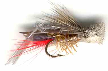 Gray Hopper Dry Fly for Rainbow trout fishing