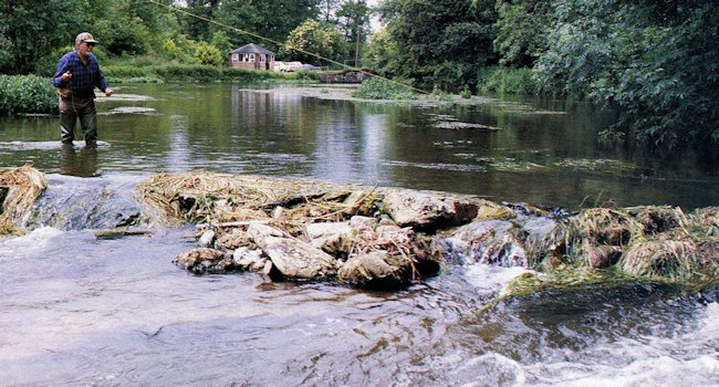 Kentucky Afield Outdoors: Top-water lures during low light periods break  the mid-summer doldrums - NKyTribune