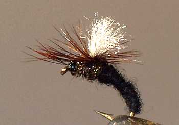 Black Klinkhammer Emerging Nymph fly  pattern for grayling fishing