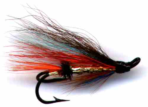 The Dunkeld Double Hook Salmon Fly 