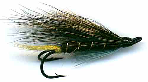 The Blue Charm Hairwing Double Hook Salmon Fly