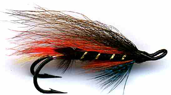 The Thunder and Lightning Double Hook Salmon Fly 