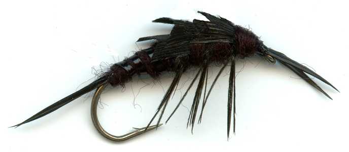The Black Stonefly Nymph for trout fishing
