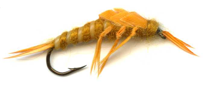 10 or 12 Solitude Fly Co 1 Tungsten Golden Stonefly Nymph Choice of Size 8 