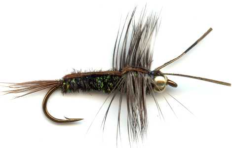 The Half Back Stonefly Nymph for trout fishing