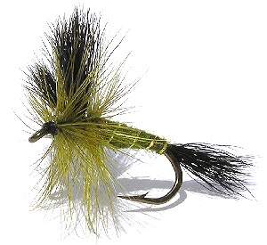 The Green Drake Wulff Dry Fly pattern