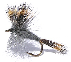 The Gray Wulff Dry Fly pattern