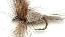 Adam's Irresistible Rough Water Dry fly pattern
