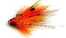 Ally's Shrimp 1/2 Inch Copper Salmon Tube fly pattern