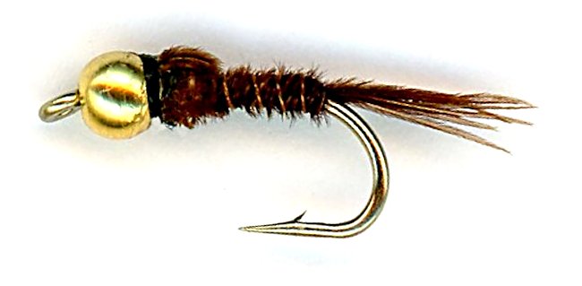 The Beaded Pheasant Tail Nymph Fly for trout fishing
