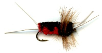 The Black and Red Bitch Creek Nymph for trout fishing