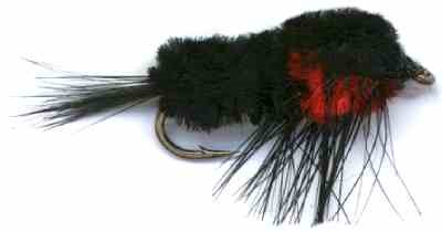 Black and Red Montana Stonefly Nymph Fly pattern