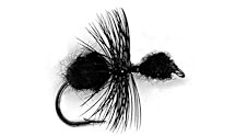 Black Ant Dry fly pattern