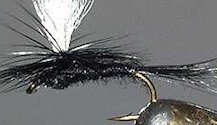Black Gnat Parachute Dry fly pattern