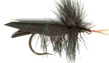 Black Horned Tent-winged Caddis Dry fly pattern