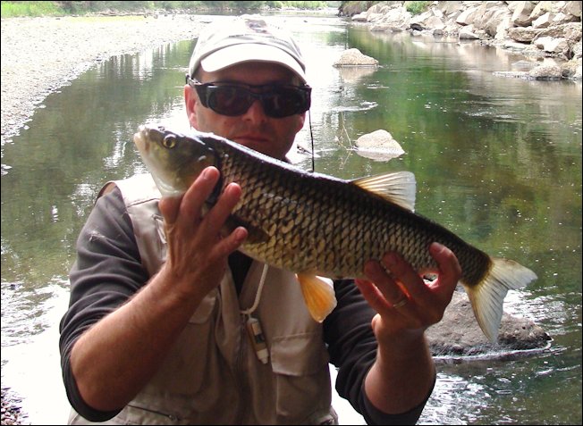 caught in France by fly fisherman Herve Raclot using a size 12 Black Suspender Buzzer
