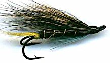 Blue Charm Hairwing Salmon Double Hook fly pattern