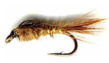 Brown Gold Ribbed Hare's Ear Nymph fly pattern