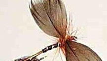 Brown Drake Mayfly Spinner fly pattern