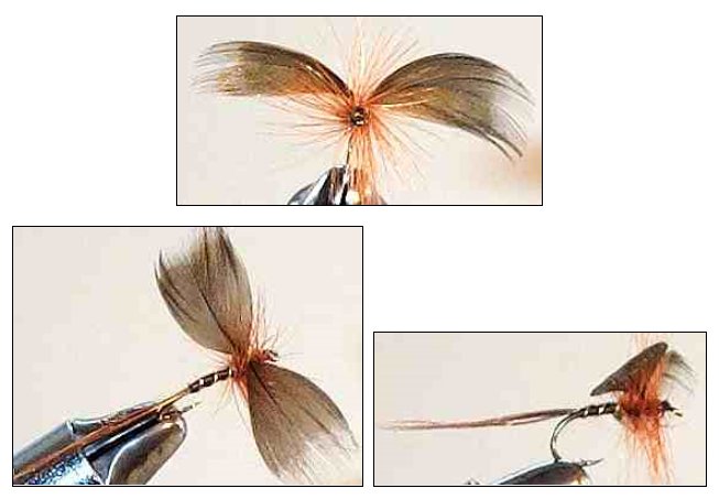 Dry Flies Brown Drake Extended Body Popular Dry Fly for All Fly Boxes Best  Selling Dry Flies 3 Pack of Premium Trout Flies -  Canada