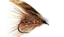 Brown Murrough Caddis Wet fly pattern