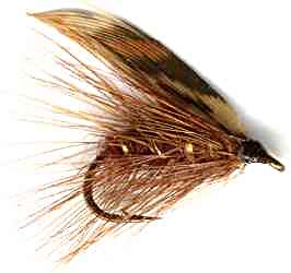 Brown Murrough Caddis Wet Fly