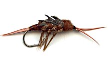 Brown Stonefly Nymph fly pattern