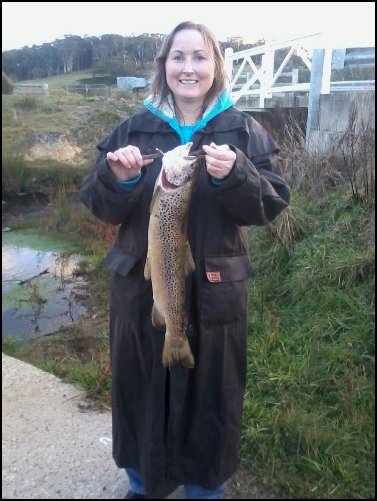 Brown trout caught with a natural zonker