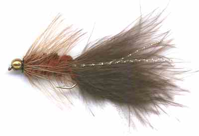 The Beaded Brown Woolly Bugger Fly