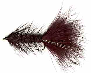 The Black Woolly Bugger Fly for trout fishing