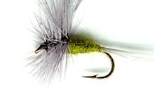 Blue Winged Olive Dry fly pattern