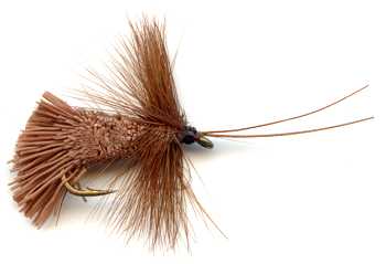 Goddard's Brown Caddis fly pattern for trout fishing