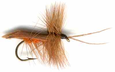 Cinnamon Horned Tent-winged Upland Caddis (Sedge) flyfishing trout Fly
