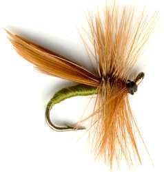 catch trout with a Cinnamon Sedge Grannom Caddis Dry Fly
