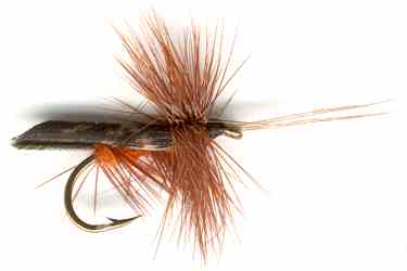 Dark Brown Horned Tent Winged Caddis trout fishing fly