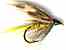 Yellow invicta sedge wet fly pattern