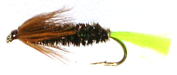 Stick Fly Caddis Nymph cased Caddis with peeping green pupa