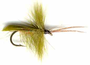 Olive Horned Tent Winged Caddis trout Fly fishing pattern