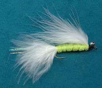 The white and green cats whisker streamer trout fly fishing fly