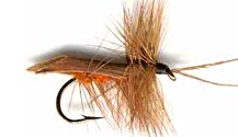 Cinnamon Horned Tent-winged Caddis Dry fly pattern