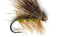 Dark Winged Olive Elk Hair Caddis Dry fly pattern