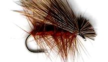 Dark Wing Brown Elk Hair Caddis Dry fly pattern