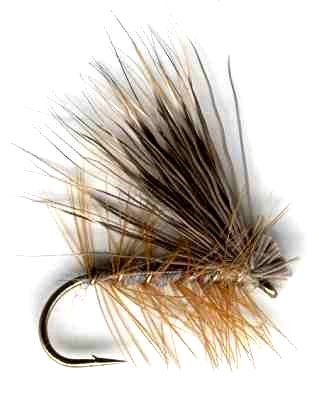 Dark Wing Gray Elk Hair Caddis fly pattern for trout fishing