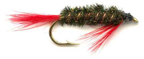 Red Diawl Bach Nymph pattern for fly fishing trout
